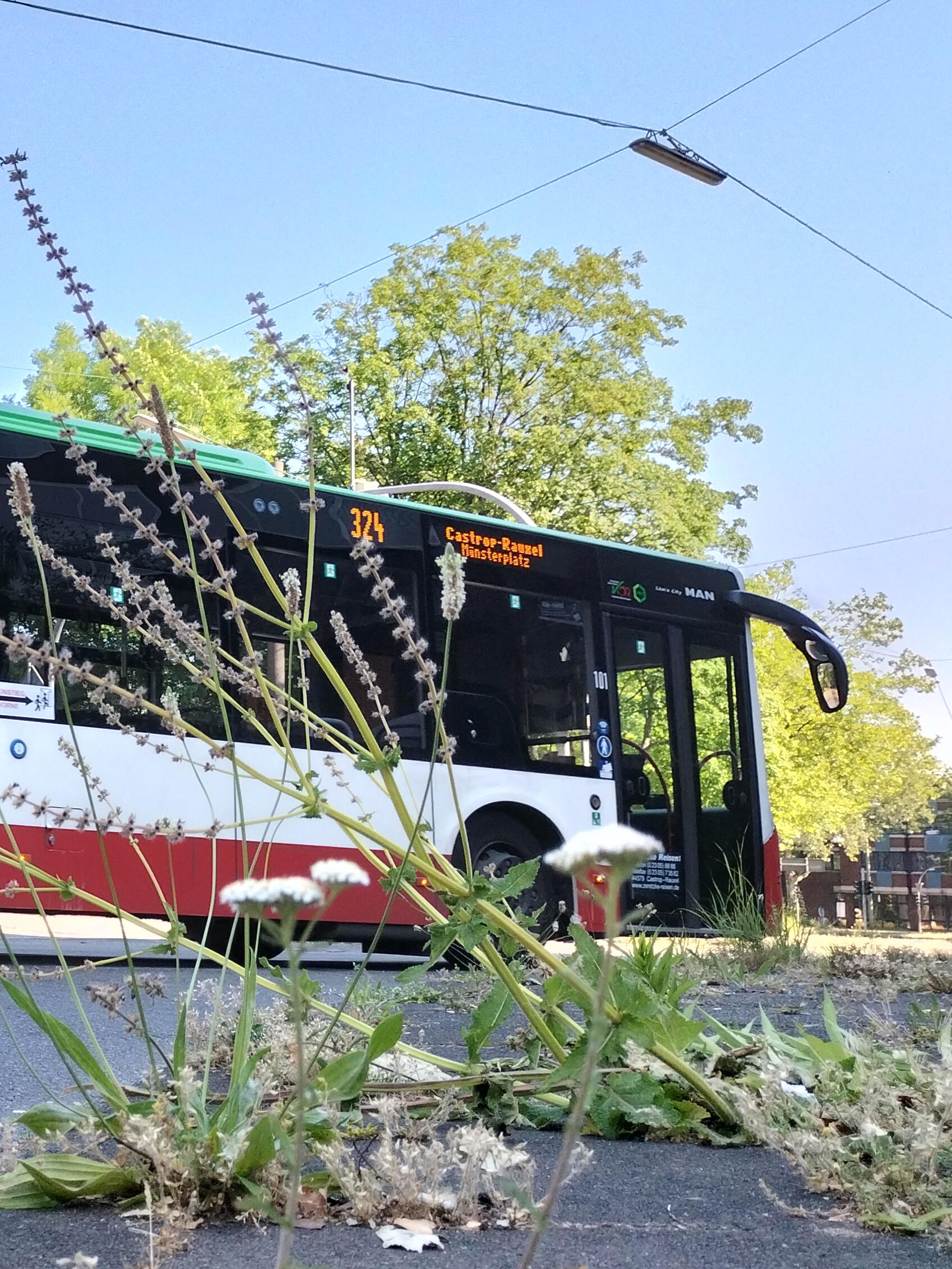 Bus f&auml;hrt in Castrop-Rauxel eine Stra&szlig;e entlang.