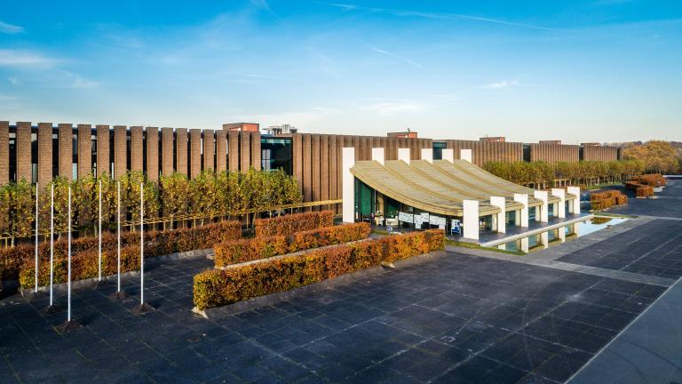 Rathaus Luftbild im Herbst